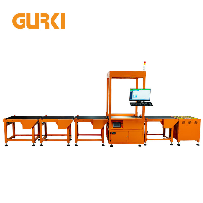 Sortation System