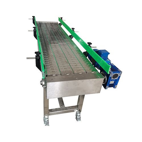 Stainless steel Chain Conveyor